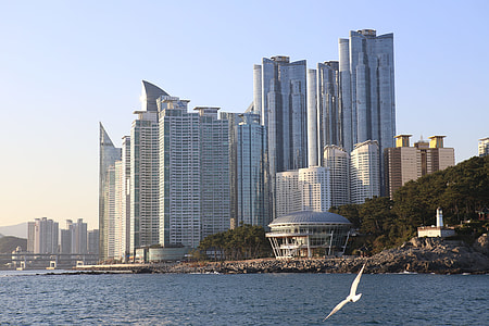 aerial photography of highrise building at daytime thumbnail