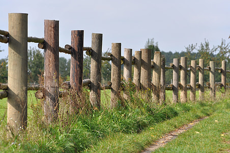 brown wooden trunks fences on green grass filed thumbnail