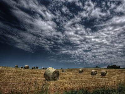 brown hays under the cloudy sky thumbnail