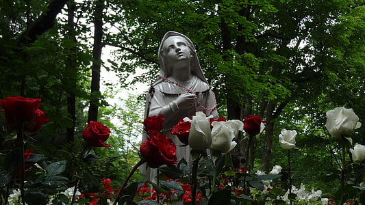red and white rose flowers overlooking religious statue under shade of tree at daytime thumbnail