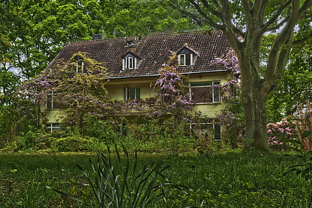 brown and green house surrounded by trees thumbnail