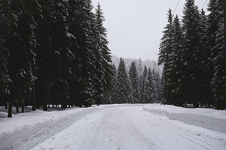 snowy road thumbnail