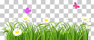 Butterfly Flower Lawn , Grass and Butterflies , white flowers illustration PNG clipart