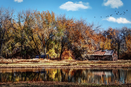 brown house near brown leaved trees and body of water during daytime thumbnail