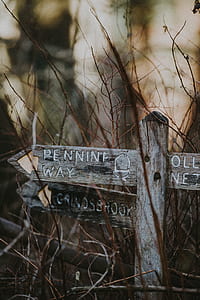 brown Ennini way road signboard thumbnail