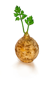 Simplistic celeriac thumbnail