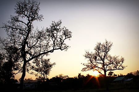 nature, sky, sunset, dark thumbnail