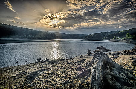 landscape photography of driftwood placed near body of water thumbnail