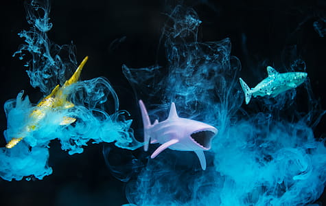 Three Plastic Toy Fish Underwater thumbnail