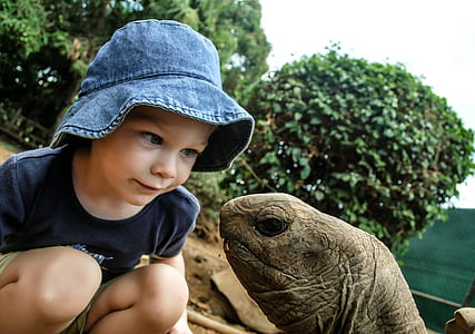 photo of girl looking on tortoise head thumbnail