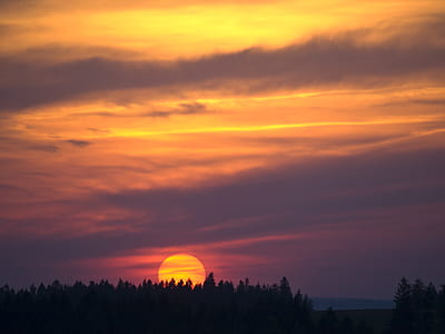 silhouette of trees during sunset thumbnail