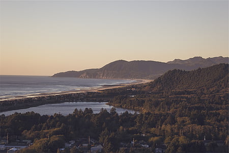 trees near sea at daytime thumbnail