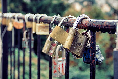 padlocks on black fence thumbnail