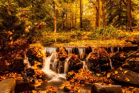 river bank near green trees thumbnail