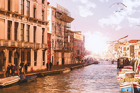Canal in Venice with sun and flying birds thumbnail