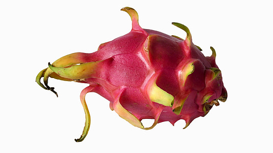 pink dragon fruit thumbnail