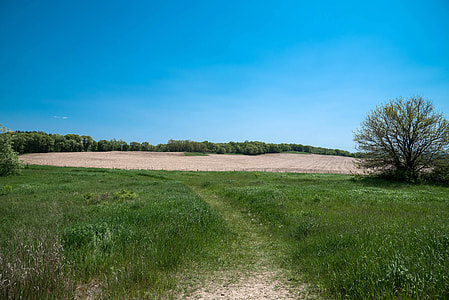 Trail and Horizon thumbnail