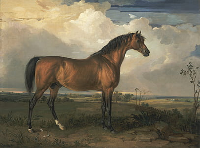 closeup photo of brown horse painting thumbnail