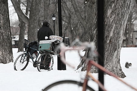 person standing beside tree and bicycle thumbnail