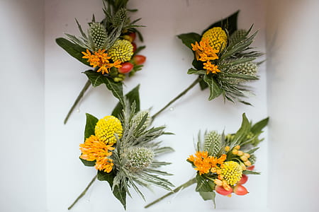 flowers on wall thumbnail