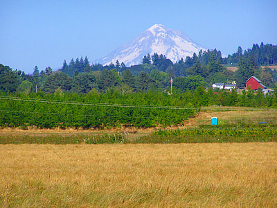 Mount Hood as seen from Molalla Forest Road in Canby, Oregon thumbnail