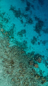 photograph of body of water with corrals thumbnail