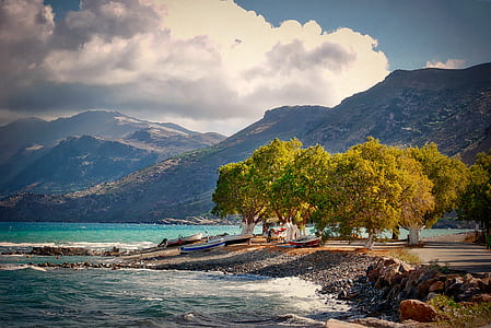 island with green trees by the seashore thumbnail