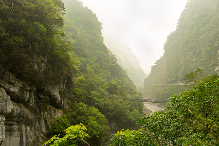 photo of forest and river thumbnail