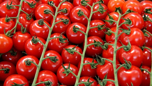 red tomatoes thumbnail
