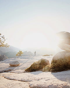 person standing on rock formation in front of green leafed tree thumbnail