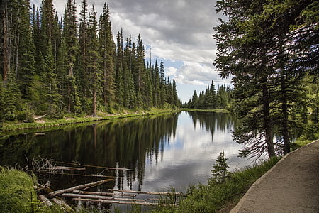body of water between forest thumbnail