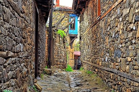 pathway between brown concrete building thumbnail