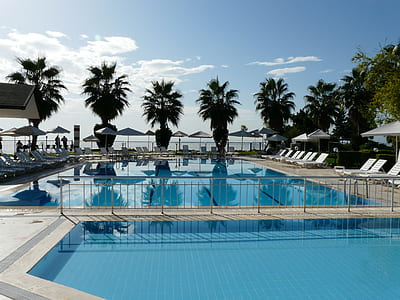 pool near plants thumbnail