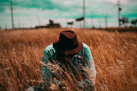 person sitting on wheat field thumbnail