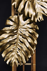 two gold leaves thumbnail