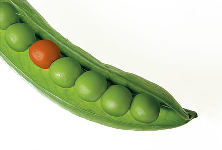 Close Up Photography of Green Pea Pod thumbnail
