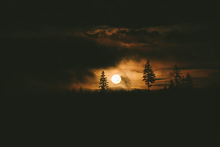 Side of the Road Sunrise thumbnail