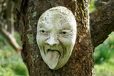 mask on tree branch thumbnail