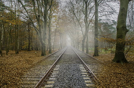 photography of train railway thumbnail