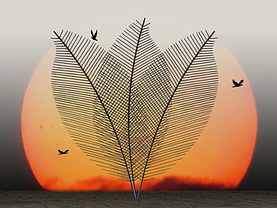 birds during sunset thumbnail