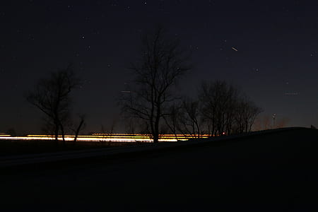 silhouette photography of bare tree thumbnail