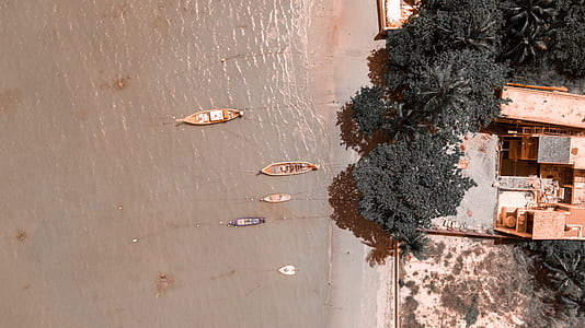 aerial view photo of boats and trees at daytime thumbnail