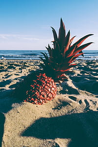 pineapple on gray sand thumbnail