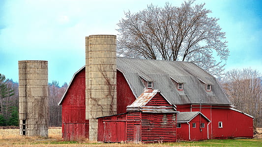 red house near tree thumbnail
