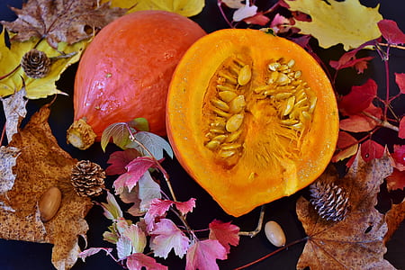 red sliced squash thumbnail