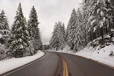 wide angle photo of road during winter season thumbnail