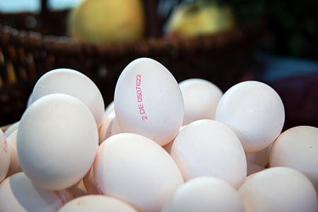 bundle of egg thumbnail