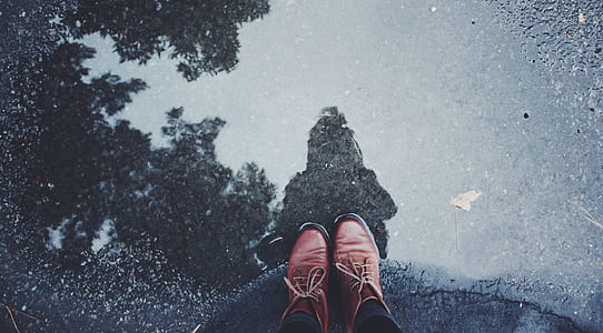 person wearing brown leather shoes thumbnail