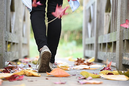 man walking along wooden bridge with falling wilted leaves thumbnail
