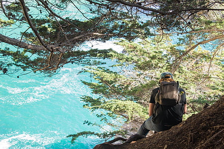 man sitting under tree during daytime thumbnail